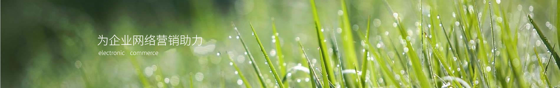 ϲ˽ܿƼ޹˾